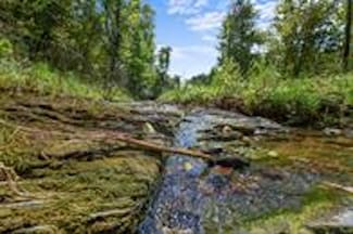 484 Hidden Pines Loop, Broken Bow, OK 74728