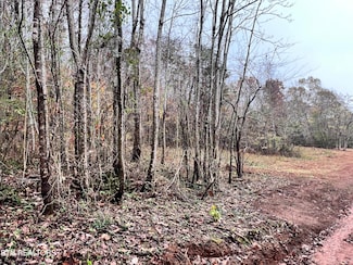 Lot 2 Raby Hollow Rd, Kingston, TN 37763