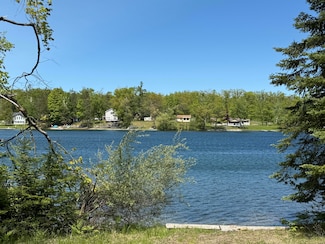 0 Hayes Ln Unit 201833553, Aloha Township, MI 49721