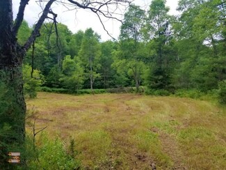 10229 N Coe Rd, Luther, MI 49656