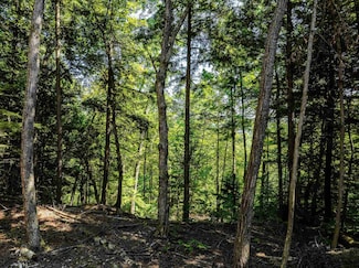 00 Arbor Ln, Duxbury, VT 05676