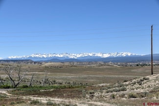 TBD 6900 Rd, Montrose, CO 81401
