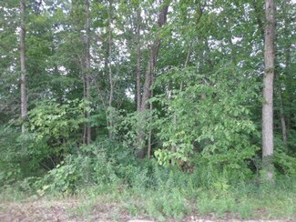 1387 Struble Rd, Muir, MI 48860