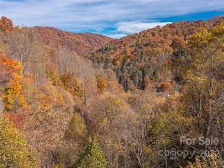 000 Drake Cove Rd, Mars Hill, NC 28754
