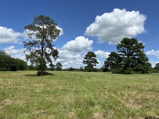 001 Farm To Market Road 1000, Mount Pleasant, TX 75455
