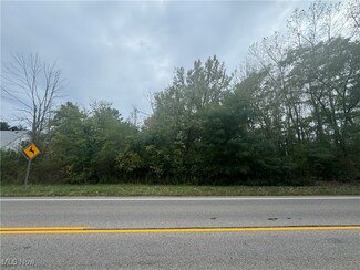 0 Fenn Rd, Medina, OH 44256