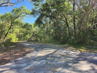 TBD Guava Terrace, Ocklawaha, FL 32179