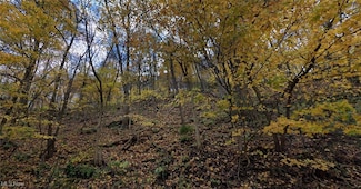 TBD Middle Run Rd, Chester, WV 26034