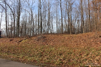 0 Lindsey Unit 13 Rd Unit 23103549, Jackson, MI 49201