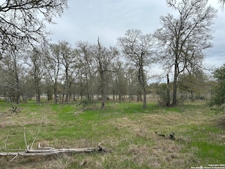 141 N Eskew Ln, Wyldwood, TX 78612