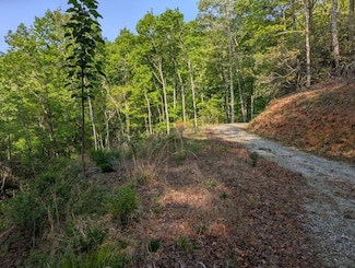 00 Cherokee Mine Rd, Franklin, NC 28734