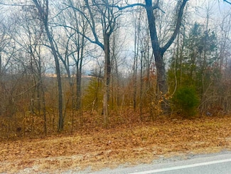 Lot 3 S Bend Dr, Horseshoe Bend, AR 72512