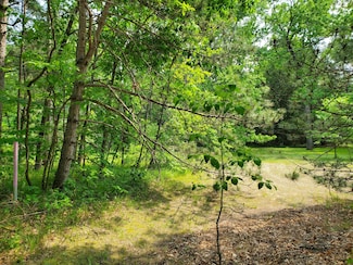 998 E Monroe St, White Cloud, MI 49349