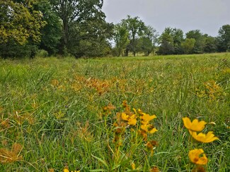 Lot 5 E 420th Rd, Bolivar, MO 65613