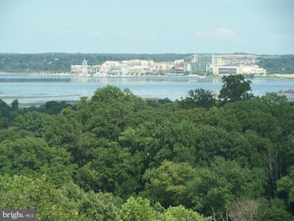5904 Mount Eagle Dr Unit 902, Alexandria, VA 22303