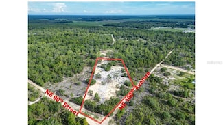 0 NE 100th Ave & 90th St Ave Unit MFRFC303489, Bronson, FL 32621