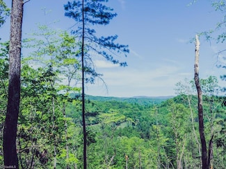 0 Hawkins Grove Rd, McGrady, NC 28649