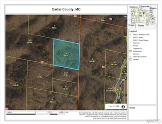 001 Carter 205, Kelly Township, MO 63965