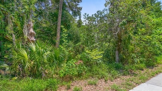 1521 Clarcona Rd, Apopka, FL 32703