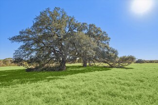 6230 Kovar Rd, Fayetteville, TX 78940