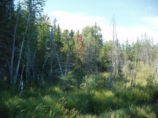 NEAR Wagner Vogt Rd, Butternut, WI 54514
