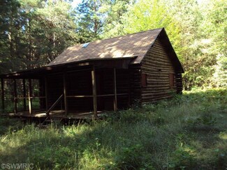 6646 E Mckinley Rd, Brunswick, MI 49425