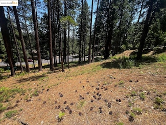 2904 Venado Dr, Arnold, CA 95223