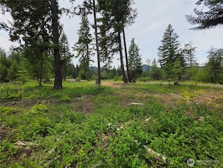 0 NVLot 2 Nelson View Way, Cle Elum, WA 98922