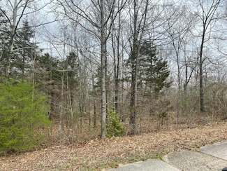 0 N Side of Ginger St Unit 23012049, Poplar Bluff, MO 63901