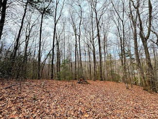 LOT 11 Rhododendron Dr, Saluda, NC 28773