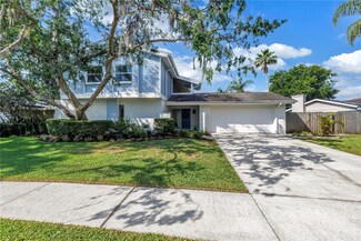 15604 Deerglen Dr, Tampa, FL 33624