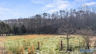 8064 Sand Valley Rd, Attalla, AL 35954