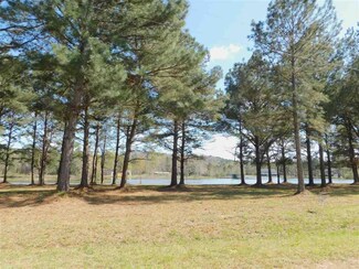 Lot 16 Fop Lodge Rd, Andalusia, AL 36421