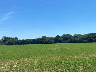 000 Karcher Rd, Somerville, TN 38068