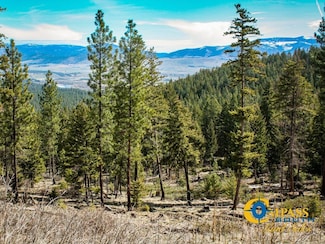 Blackjack Rd, Plains, MT 59859