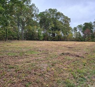 Lot 53 Burning Tree Rd, Greers Ferry, AR 72067