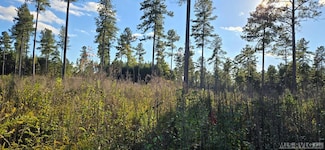 Lot 2 Christanna Hwy, Lawrenceville, VA 23868