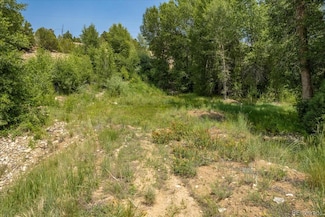 7920 Cozart Ln, Poncha Springs, CO 81201