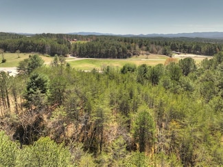 36.86 Ac Hwy 64, Copperhill, TN 37317