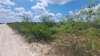 000 Tr 18 La Nina Rd, San Diego, TX 78384