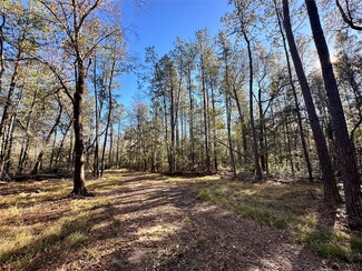 12185 Picos Rd, Saratoga, TX 77585