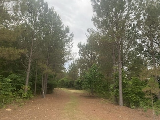 Big Opposum Creek Rd, Waynesboro, TN 38485