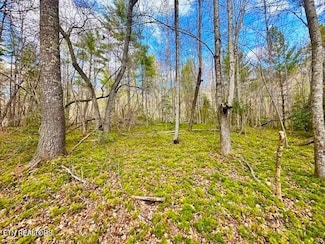 144 Gunter Place, Sunbright, TN 37872