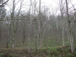 0 Castle Fork (Db 456-099) Unit 118418, Lowmansville, KY 41232