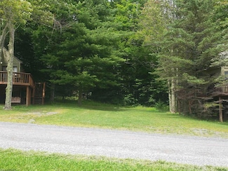 41 Honey Pot Ln, Davis, WV 26260