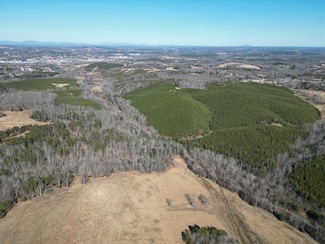 1000 Ricky van Shelton Dr, Hurt, VA 24563