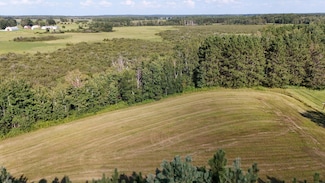 XXXX County Road 113, Platte Lake Township, MN 56401