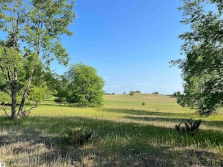 0000 S Bridle Trail, Empire, MI 49630