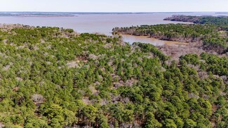 22 Lost Maples Rd, Huntington, TX 75949