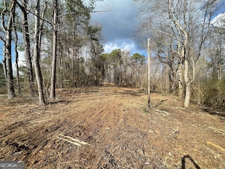0 Georgia 100 Unit 10457831, Franklin, GA 30217
